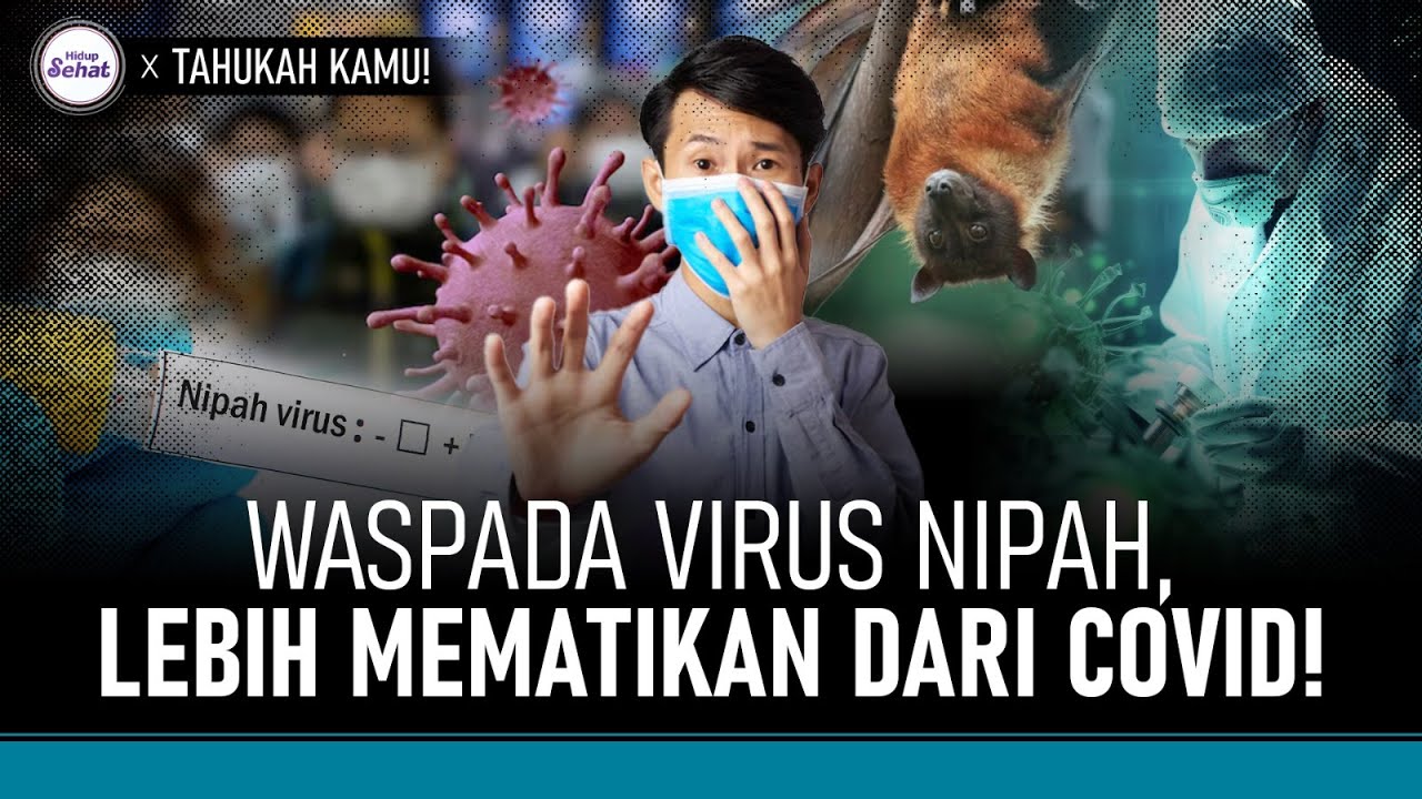 Waspada Virus Nipah