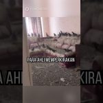 3 Tahun Jendela Terbuka, Apartemen Pria Ini “Pasukan Bersayap”