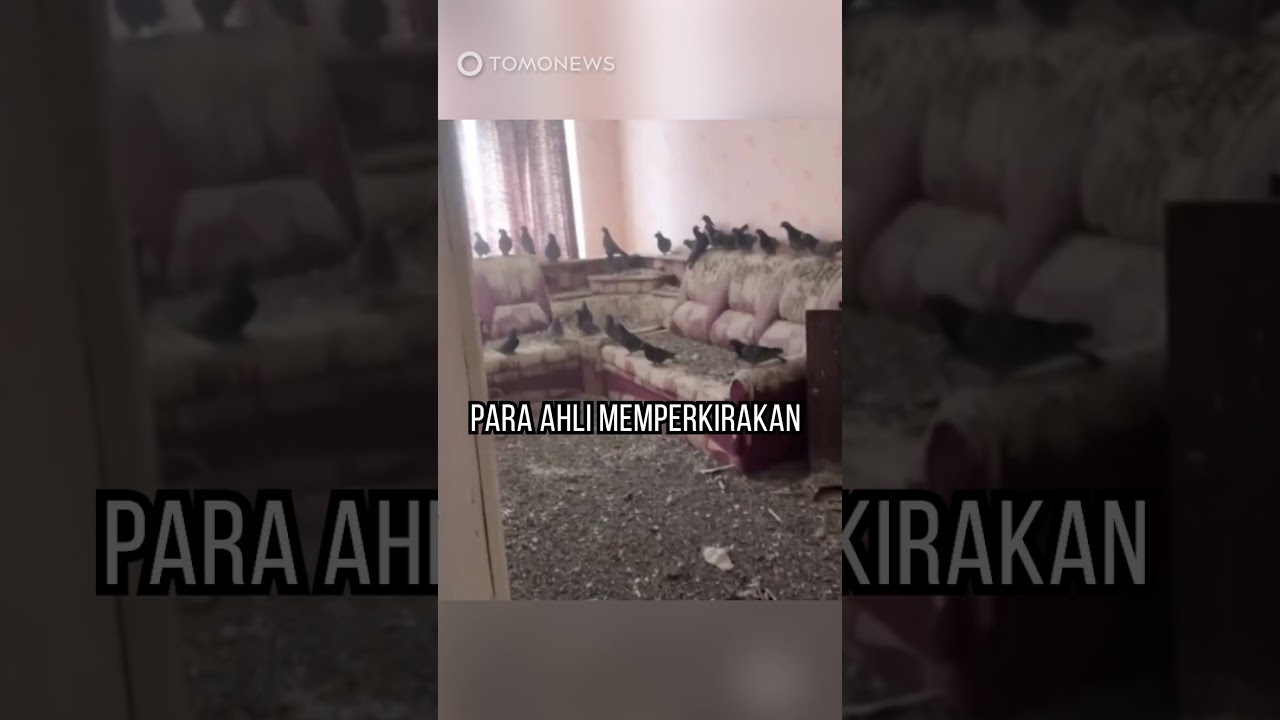 3 Tahun Jendela Terbuka