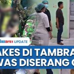 Tragedi Di Tambrauw: 2 Nakes Meninggal Dunia Akibat Kekerasan