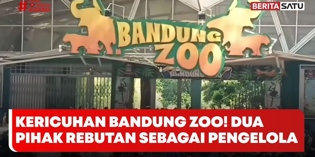 Menelusuri Akar Permasalahan Bandung Zoo Yang Kian Memanas