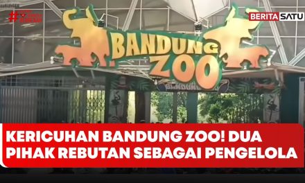 Menelusuri Akar Permasalahan Bandung Zoo Yang Kian Memanas
