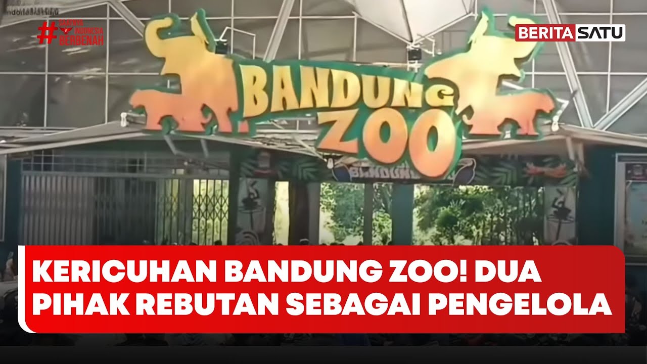 Menelusuri Akar Permasalahan