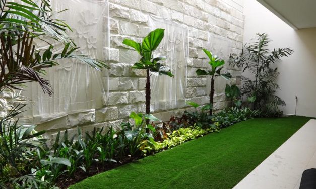 Desain Hunian Sempit Namun Tetap Sejuk Dengan Pepohonan