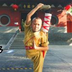 Kung Fu Memadukan Berbagai Gaya Bertarung Yang Menantang