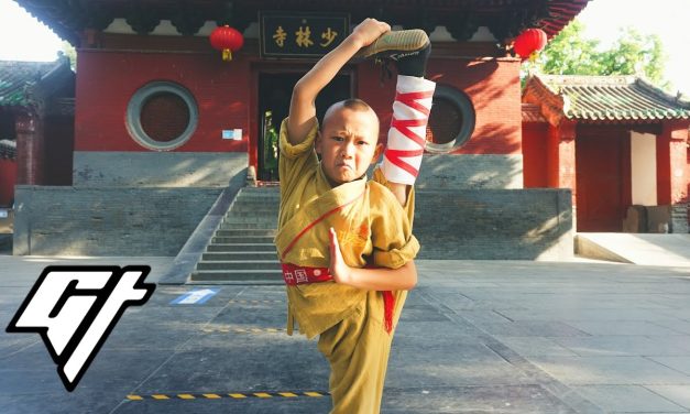 Kung Fu Memadukan Berbagai Gaya Bertarung Yang Menantang