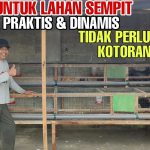 Desain Kandang Ayam 1×1 Untuk 3 Ekor: Solusi Di Lahan Sempit