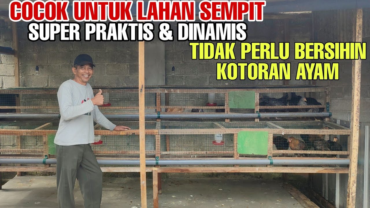 Desain Kandang Ayam