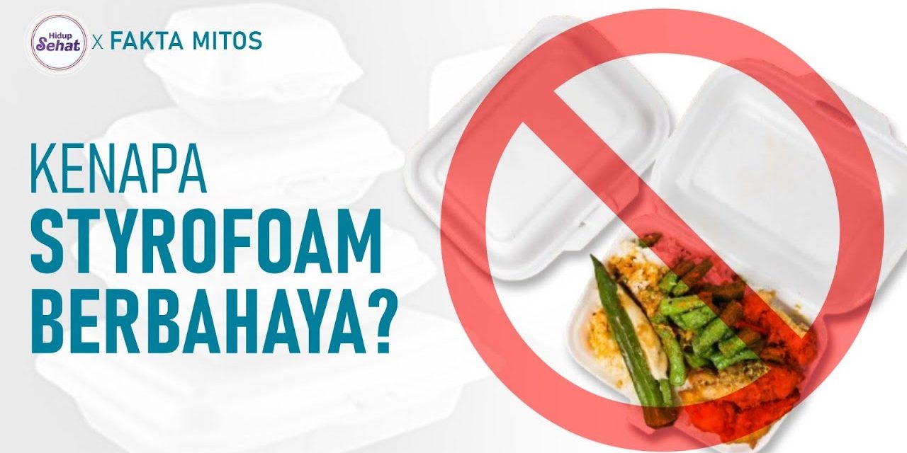 Bahaya Styrofoam Bagi Makanan Bisa Menyababkan Kanker