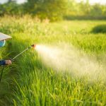 Bahaya Pestisida, 50% Petani Dunia Keracunan Tiap Tahun