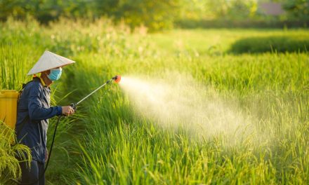 Bahaya Pestisida, 50% Petani Dunia Keracunan Tiap Tahun