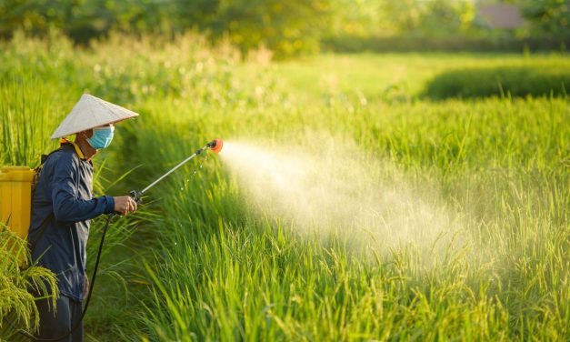 Bahaya Pestisida, 50% Petani Dunia Keracunan Tiap Tahun